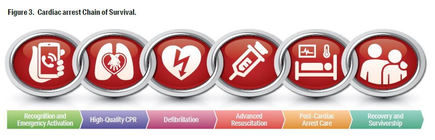 زنجیره بقای احیای قلبی ریوی 2025